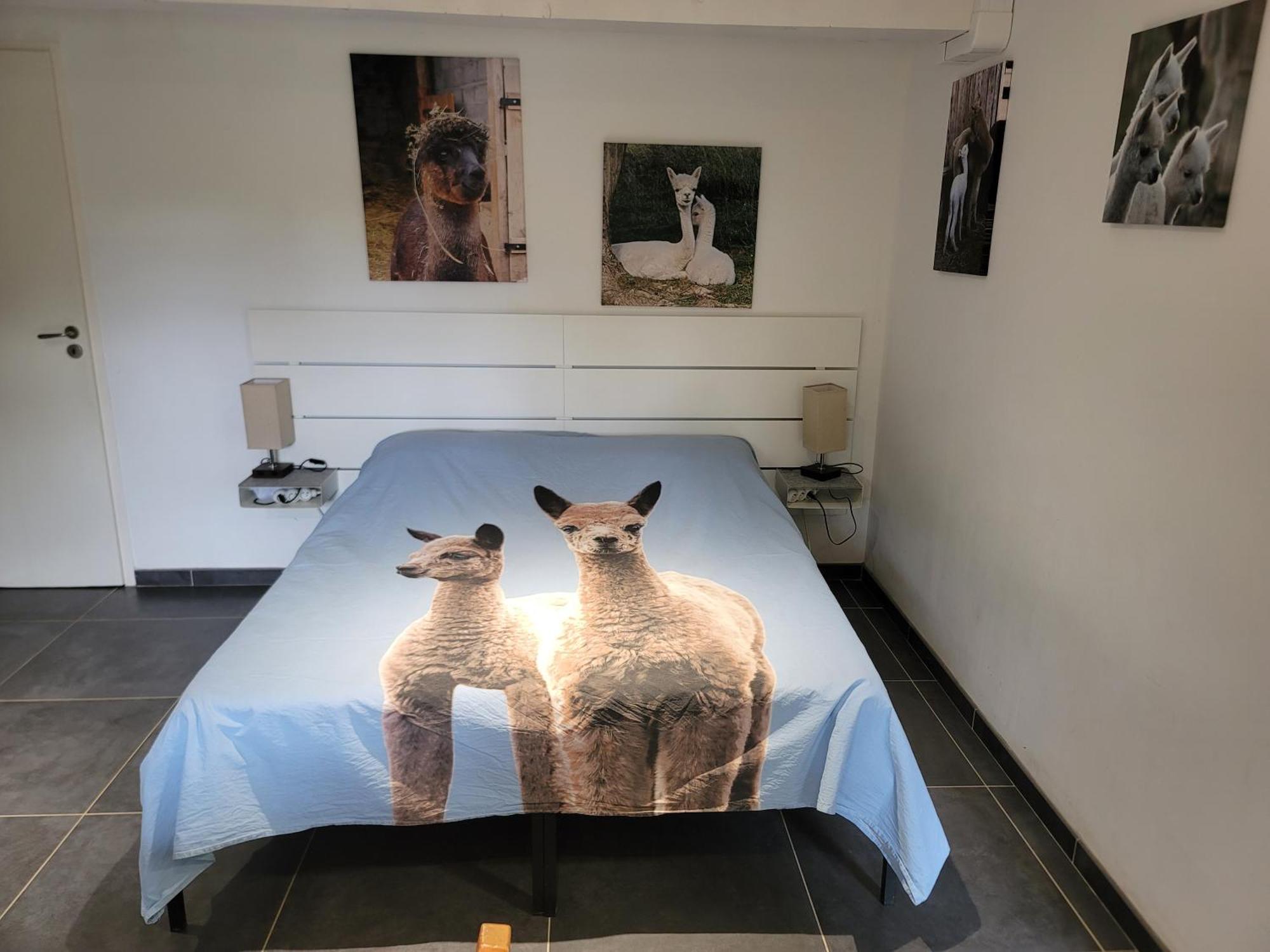 Saint-Antoine  Alpagas Du Domaine Mael B&B 외부 사진