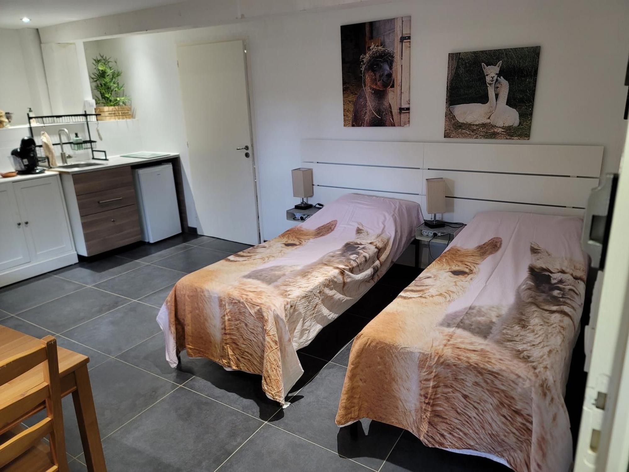 Saint-Antoine  Alpagas Du Domaine Mael B&B 외부 사진