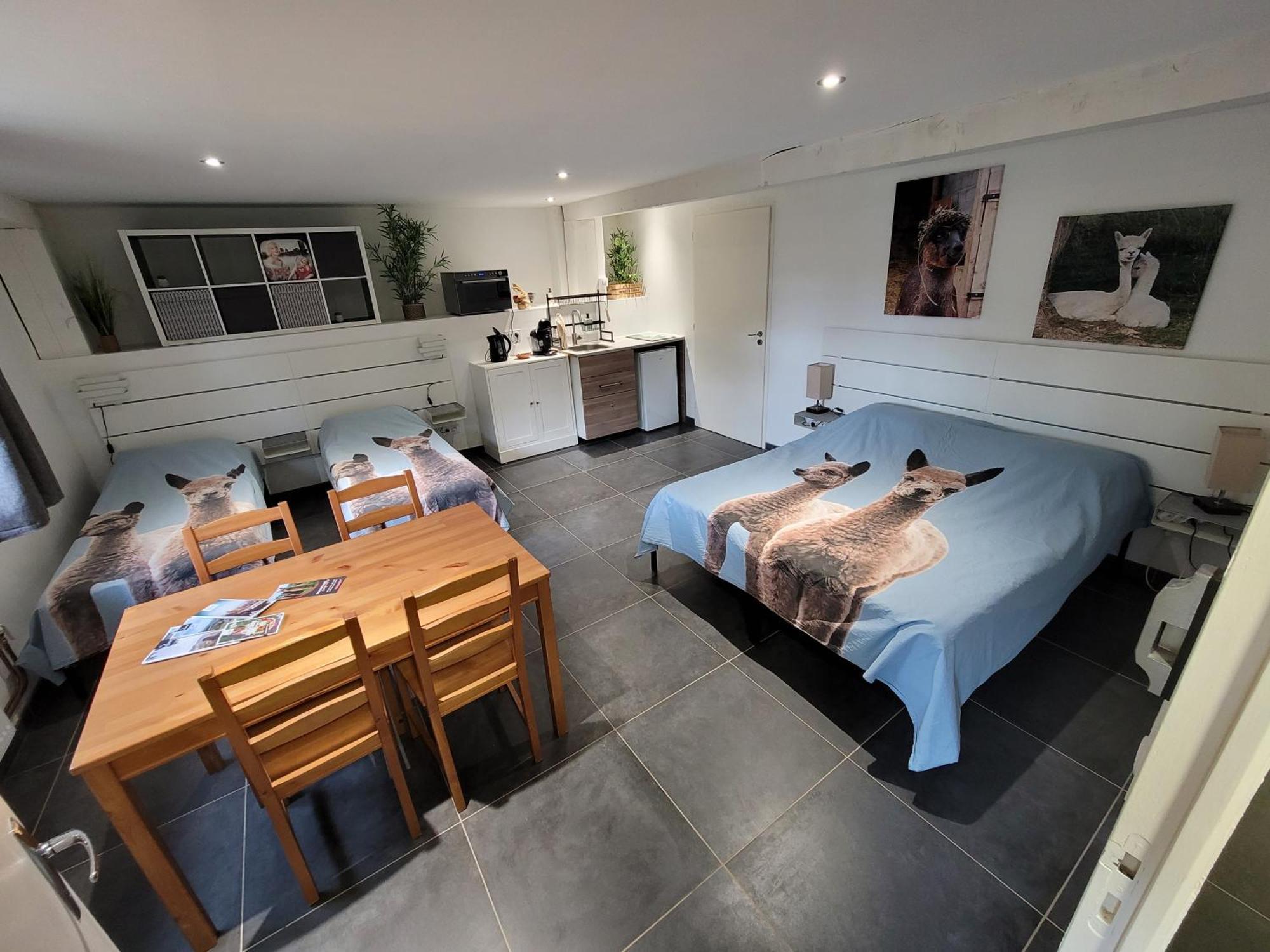 Saint-Antoine  Alpagas Du Domaine Mael B&B 외부 사진